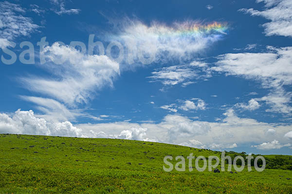 草原と彩雲のコピー.jpg