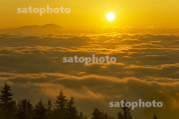 雲海と日の出.jpg
