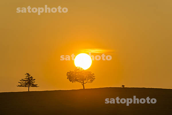丘の日の出.jpg