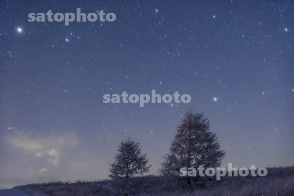 高原の霧氷の木と星空.jpg