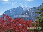 遠見尾根の紅葉と新雪の鹿島槍ヶ岳6748.jpg
