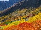 横尾本谷の紅葉と前穂高岳1582.jpg