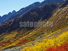 横尾本谷の紅葉と北穂高岳1574.jpg
