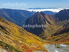横尾本谷の紅葉と屏風岩1551.jpg