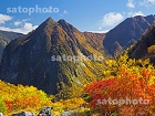 横尾本谷の紅葉と屏風岩1617.jpg