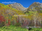 りんどう平の紅葉と焼岳1700.jpg
