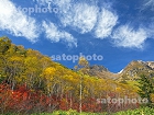 りんどう平の紅葉と焼岳1775.jpg
