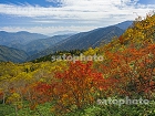 焼岳の紅葉と山並1757.jpg