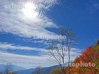 焼岳の紅葉と彩雲1716.jpg