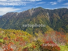 焼岳の紅葉と霞沢岳1760.jpg