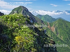 横岳の高山植物と赤岳4226.jpg