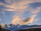 白駒池と朝焼け雲9745.jpg