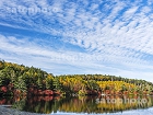 白駒池の紅葉と雲9889.jpg